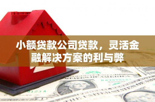 永德小额贷款公司贷款，灵活金融解决方案的利与弊